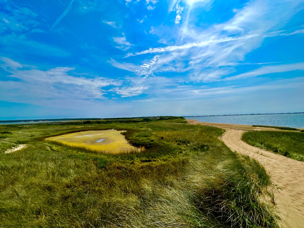 coastal marsh path